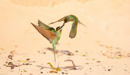 IMG_0111 IMG_0111