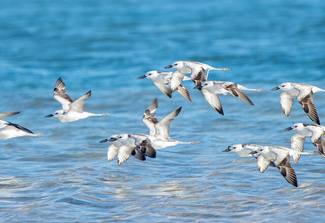 IMG_0112 IMG_0112